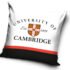 Декоративна калъфка за възглавница с надпис Cambridge, 100% полиестер, 40 x 40 см.